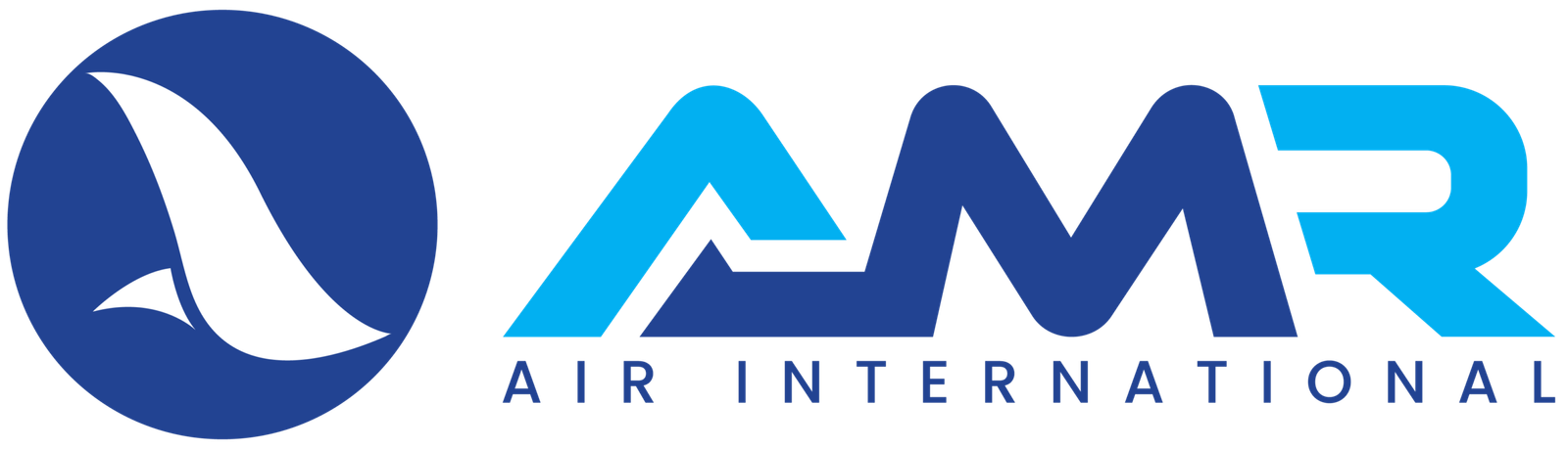 AMR Air International